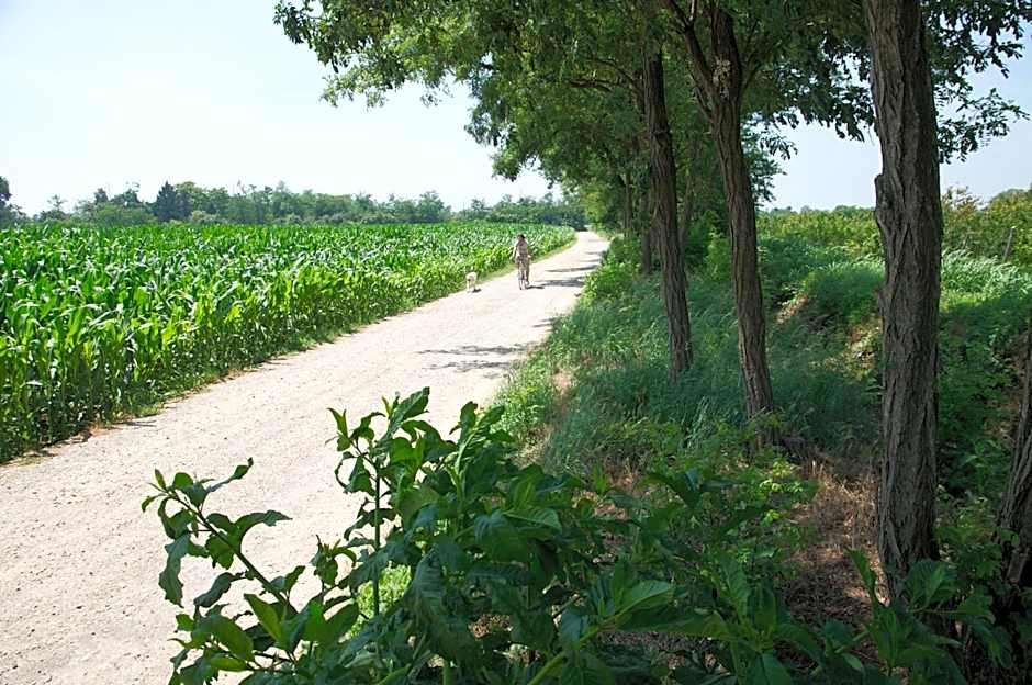 Cascina delle Mele