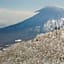 Midtown Niseko