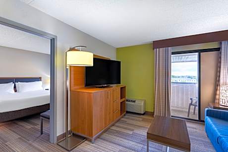 1 Bedroom Suite 1 King Sofa Bed