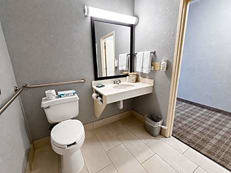 1 Queen Bed, Mobility Accessible Room, Roll-In Shower, Non-Smoking