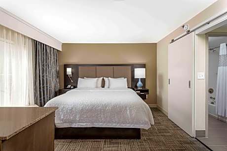 One-Bedroom King Suite - Non-Smoking