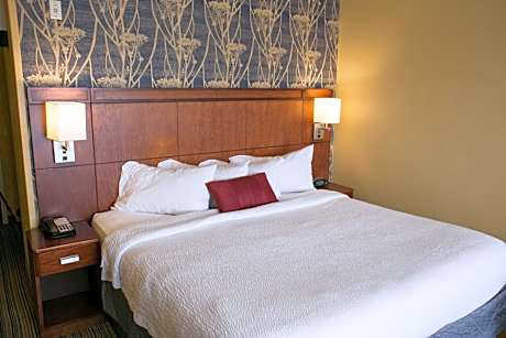 King Room with Sofa Bed