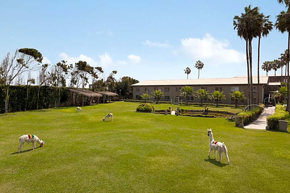 Costa del Sol Wyndham Trujillo