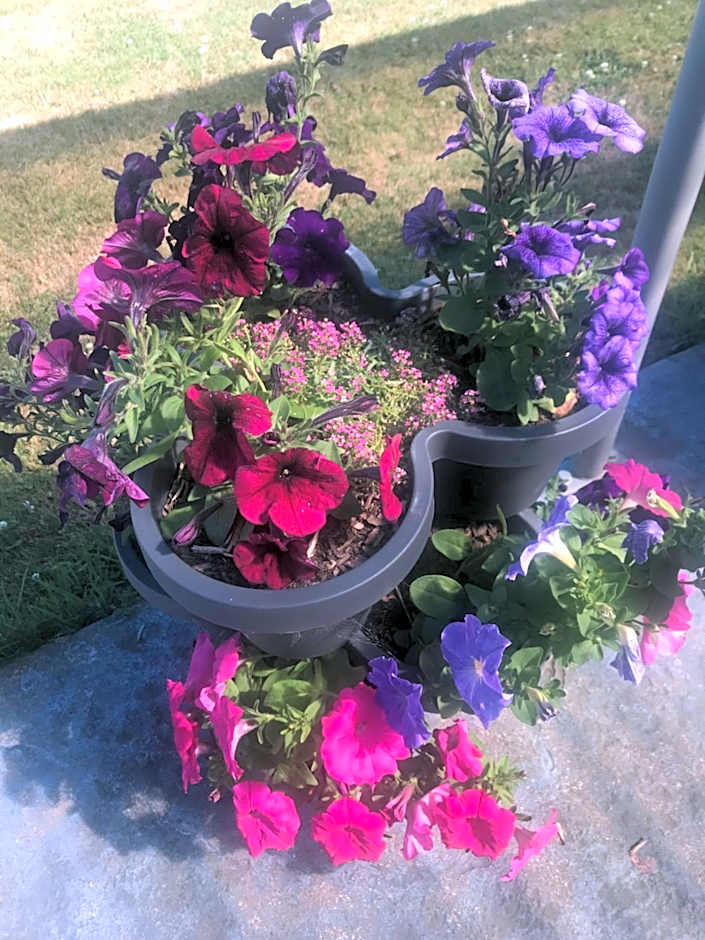 Newlands Bed and Breakfast