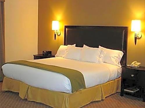 Holiday Inn Express Hotel & Suites La Porte