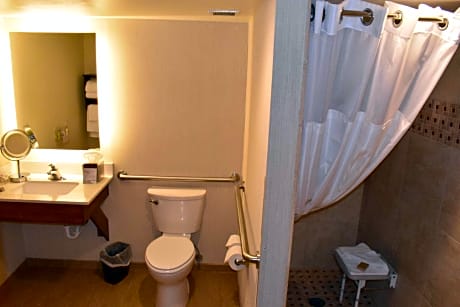 1 King Mobility/Hearing Access Rollin Shower