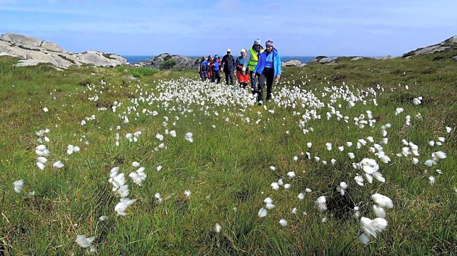 Utsira Overnatting - Sildaloftet