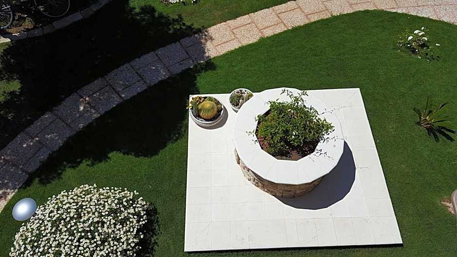 Sole D'oro IUN S4354