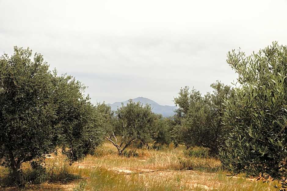 Dedalos Touch Boutique Hotel