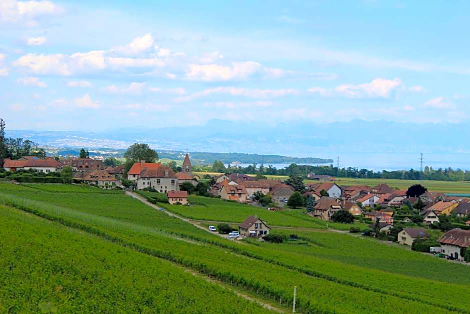 Au cœur du vignoble sur Bursins