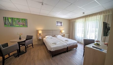 Spacious comfort double room with terrace