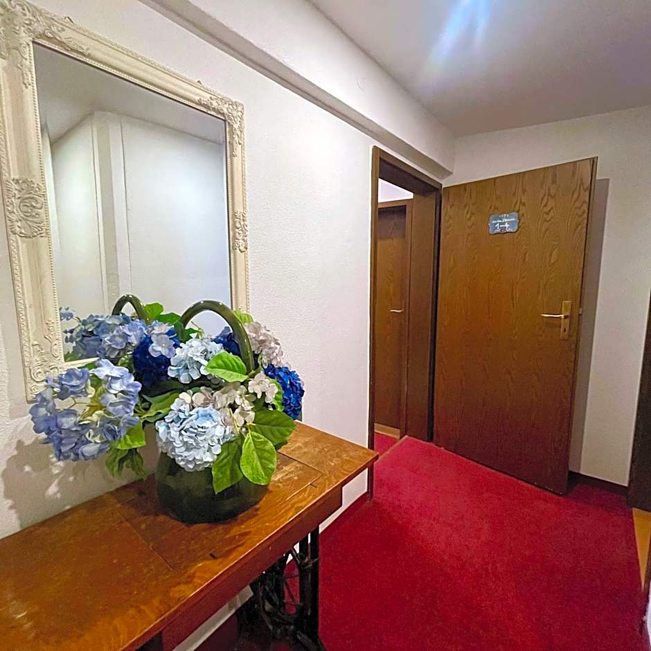 Hotel Gasthof Inselgraben garni
