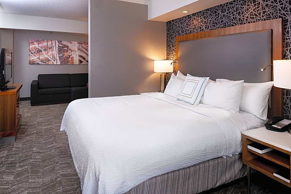 SpringHill Suites by Marriott Pittsburgh North Shore