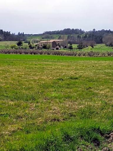 Ferme de la Combe - The Goldy's Farm