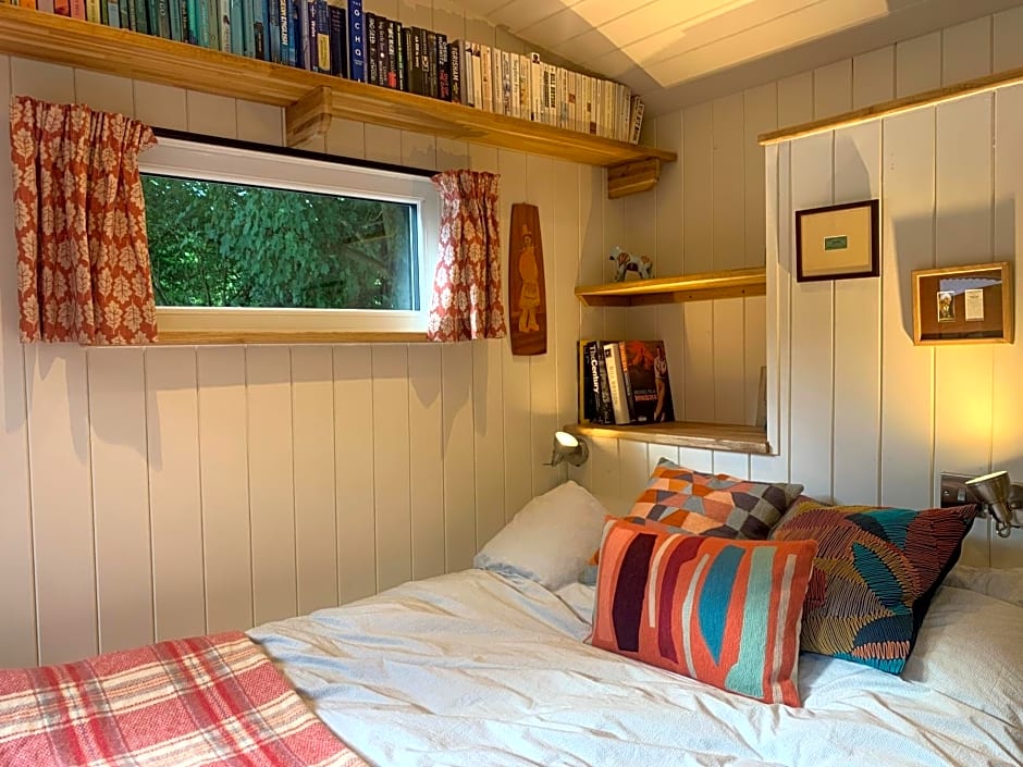 Shepherd’s delight