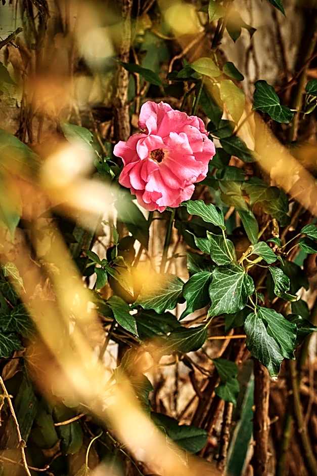 Hotel Deutschmeister