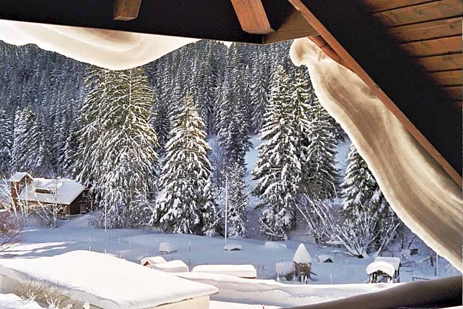 Schwarzwald-Hotel Kraeutle