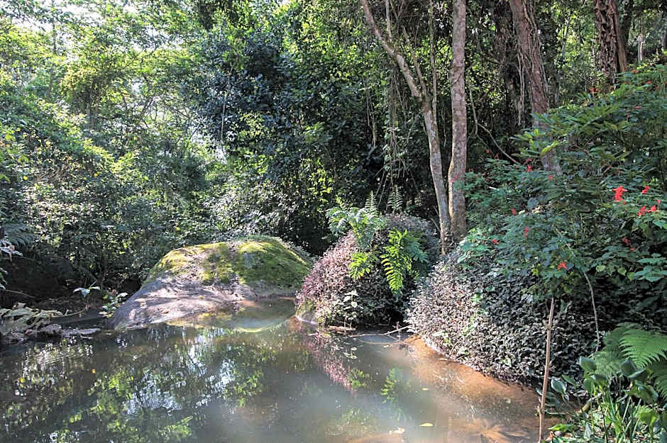 Ytororô O som das águas