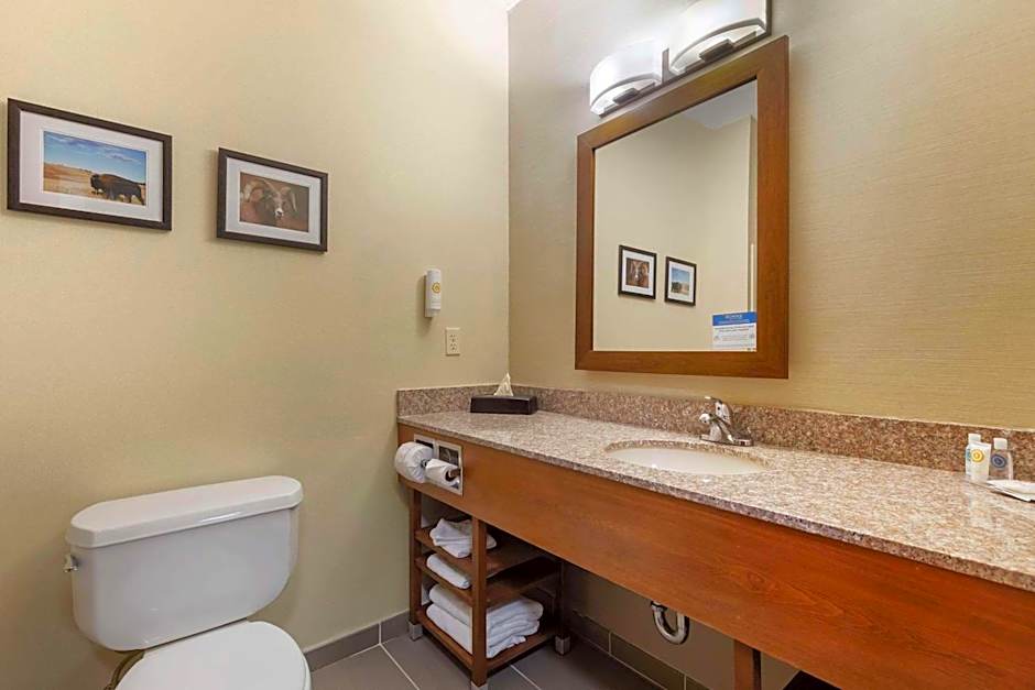 Comfort Inn & Suites Rapid City