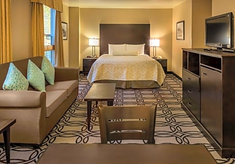 1 King Bedroom Apartment