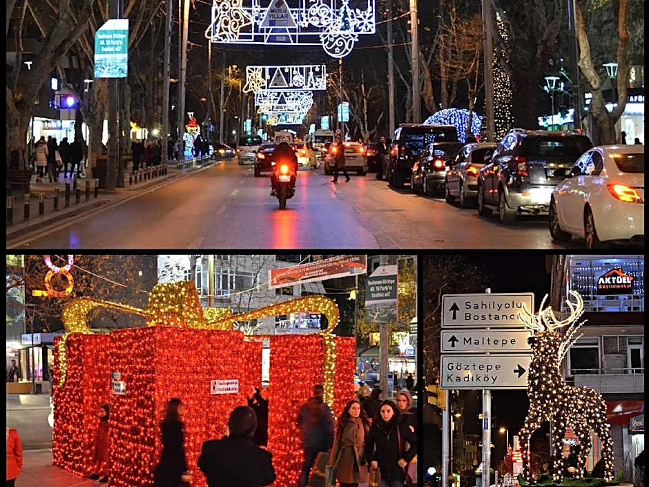 The Suadiye Residence