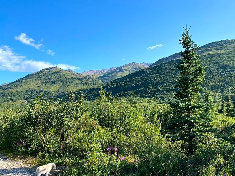 Denali RV Park & Motel