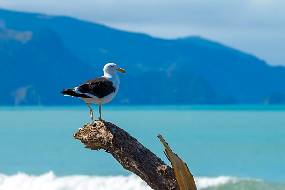 Ocean View Beachfront Apartment