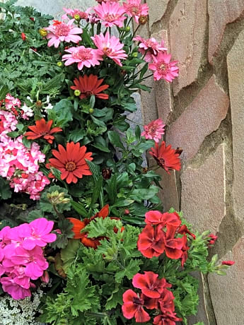 B&b Aloysia