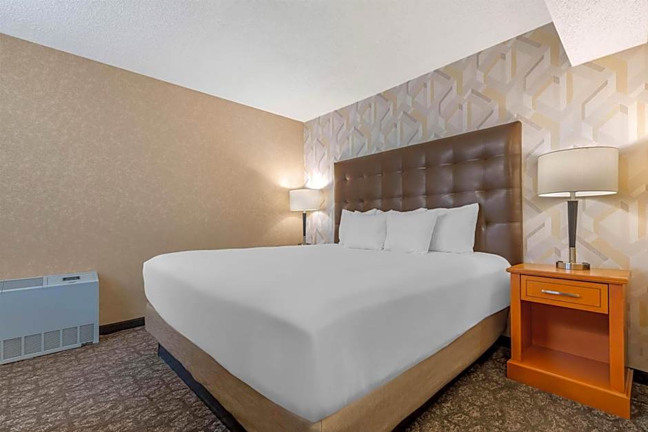 Drury Plaza Hotel St. Louis Union Station