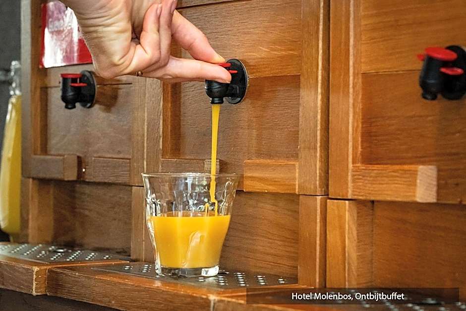 Hotel Molenbos Texel