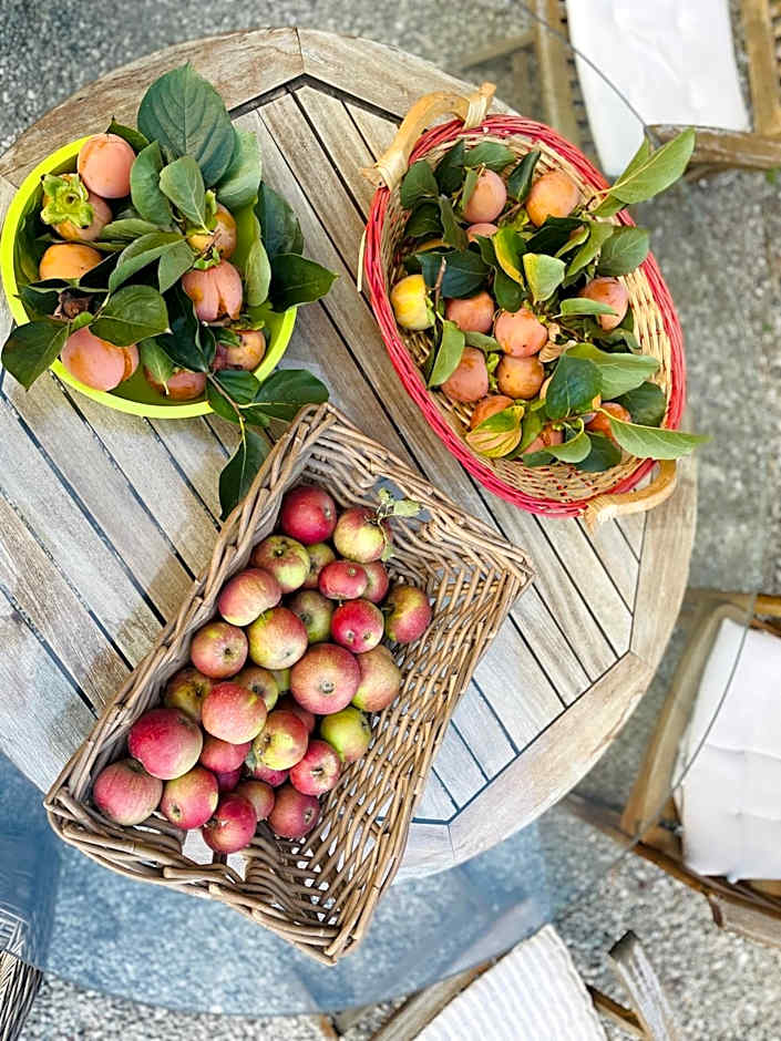 B&B Il Conte Giacomo