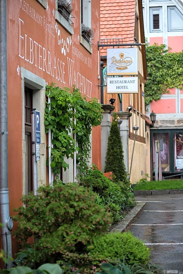 Elbterrasse Wachwitz