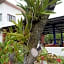 Casita Tonina