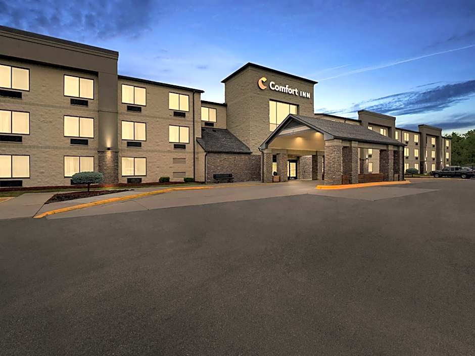 Comfort Inn Metro Airport Romulus