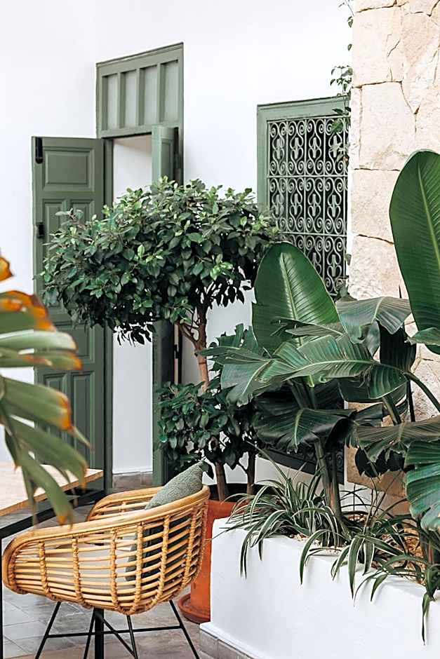 Riad Villa Wengé & Spa