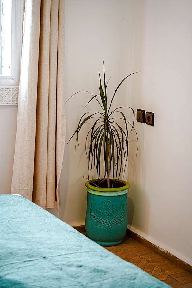 Dar Sultana Guesthouse Surf Morocco