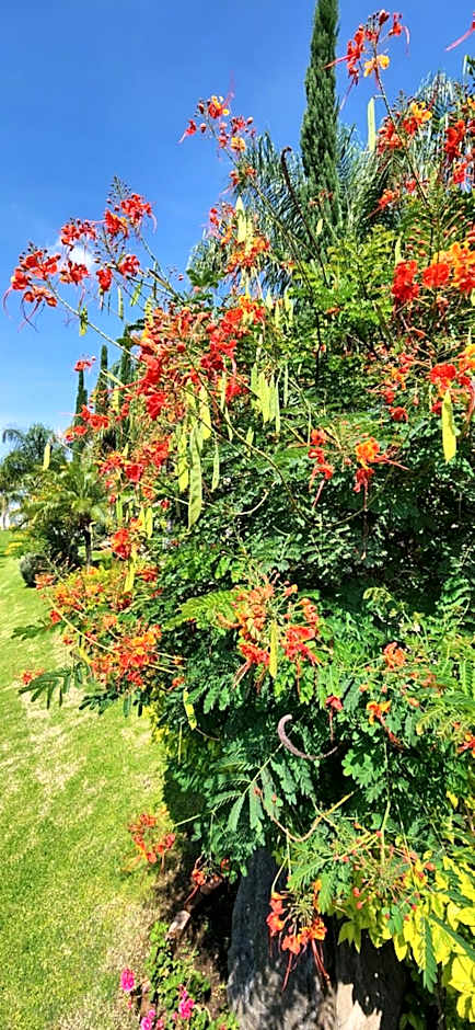 Hacienda Santa Ireme