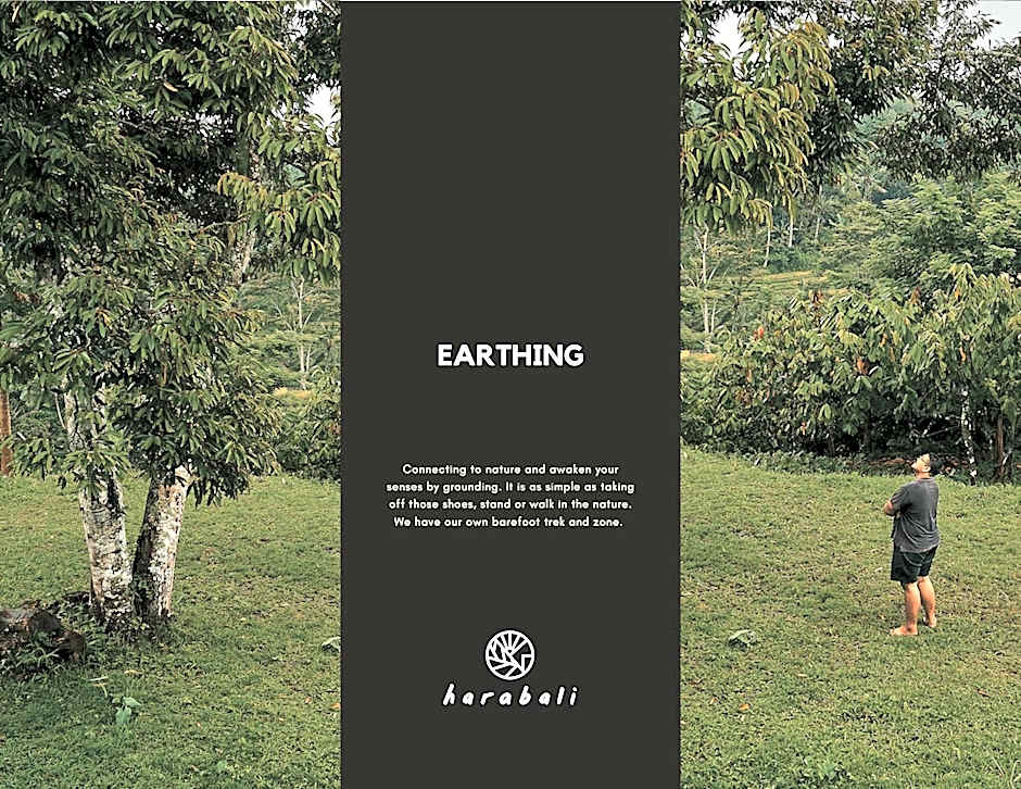 Hara Bali Eco Homestay