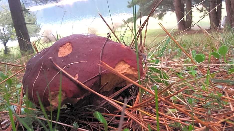 Hotel del Lago Ampollino