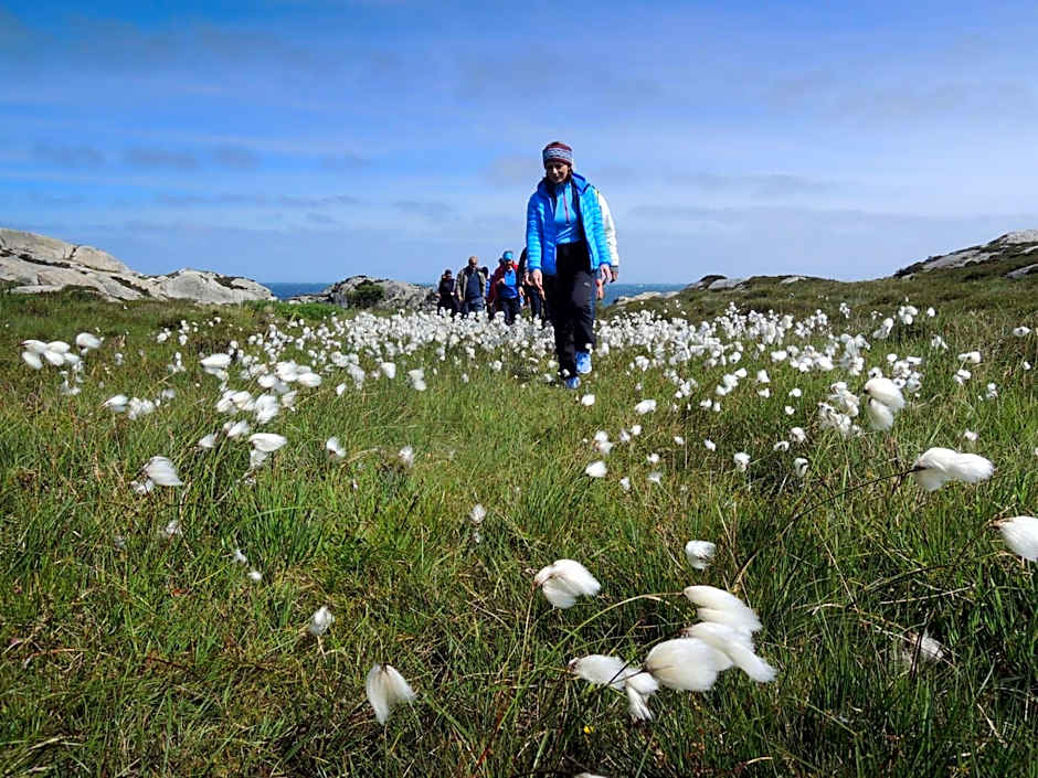 Utsira Overnatting - Sildaloftet