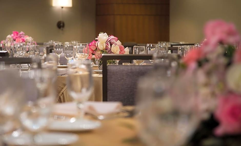 DoubleTree By Hilton Chicago - Oak Brook