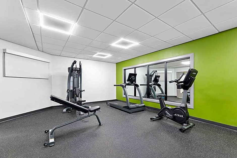 Spark by Hilton Tupelo