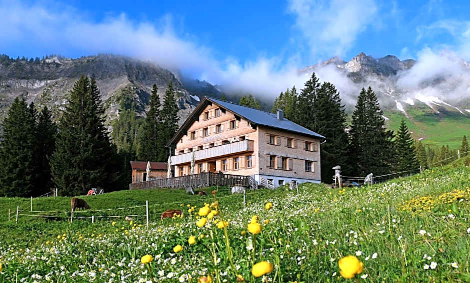 Edelweiß am Öberle