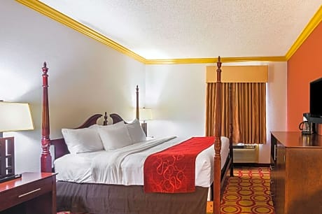 1 King Bed, Suite, Nonsmoking