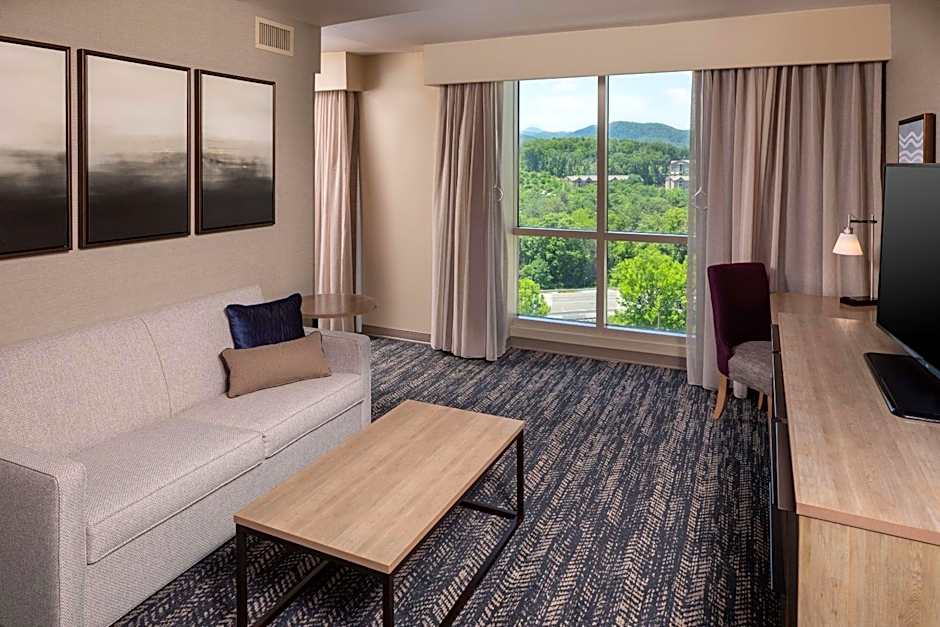 Hilton Asheville Biltmore Park
