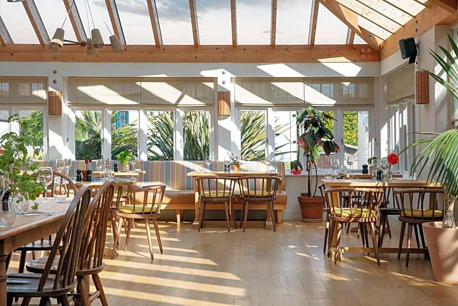 The Plume of Feathers