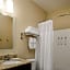 TownePlace Suites by Marriott Houston Galleria Area