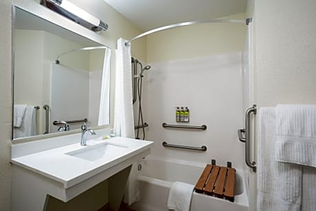 One Bedroom Suite with One Queen Bed