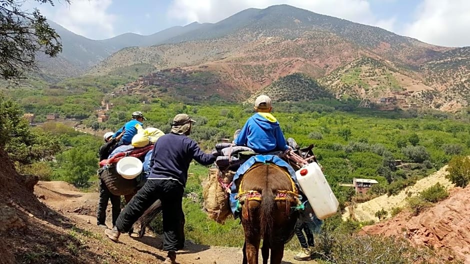 Tamatert Guest House