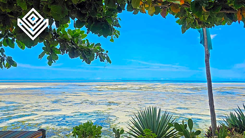 Masai Mara Zanzibar - Boutique Hotel